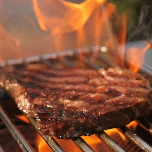 Napoleon Built-in 700 Series Single Range Top Burner with Stainless Steel Cover (NG)